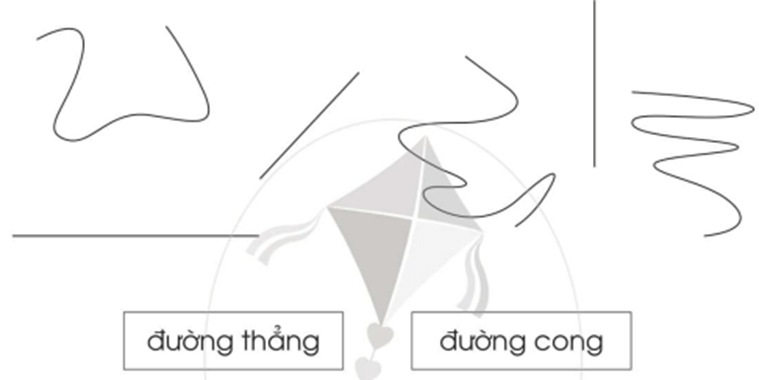 Vở bài tập Toán lớp 2 Cánh diều Bài 43: Đường thẳng - Đường cong - Đường gấp khúc (trang 73)