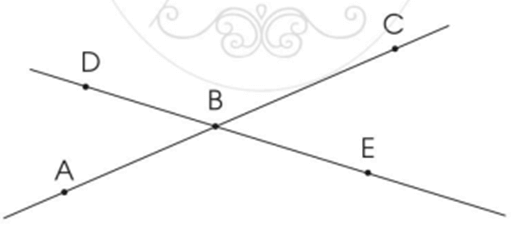 Vở bài tập Toán lớp 2 Cánh diều Bài 43: Đường thẳng - Đường cong - Đường gấp khúc (trang 73)