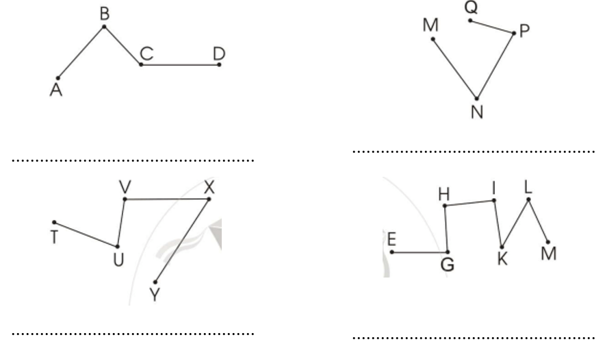 Vở bài tập Toán lớp 2 Cánh diều Bài 43: Đường thẳng - Đường cong - Đường gấp khúc (trang 73)