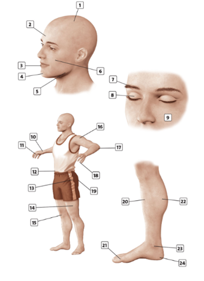 Workbook Tiếng Anh 11 Unit 3 3A Writing trang 24 minh họa 1