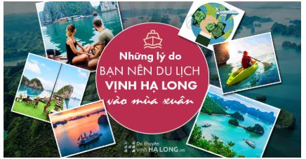 Giải Chuyên đề Tin học 10 Kết nối tri thức bài 3: Trình bày văn bản với hình khối và hộp văn bản