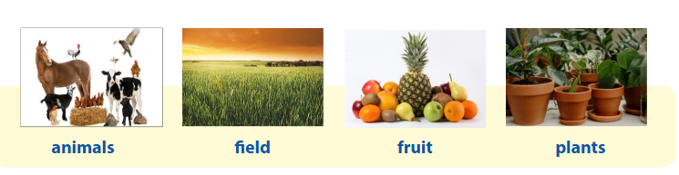 Tiếng Anh lớp 4 unit 3 lesson 3 minh họa 1