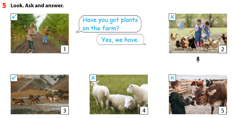 Tiếng Anh lớp 4 unit 3 lesson 3 minh họa 2