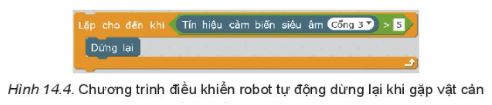 Giải Chuyên đề Tin học 10 Kết nối tri thức bài 14: Thực hành Dự án điều khiển robot trên sa bàn