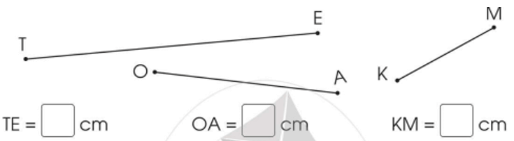 Vở bài tập Toán lớp 2 Cánh diều Bài 44: Độ dài đoạn thẳng - Độ dài đường gấp khúc (trang 75)