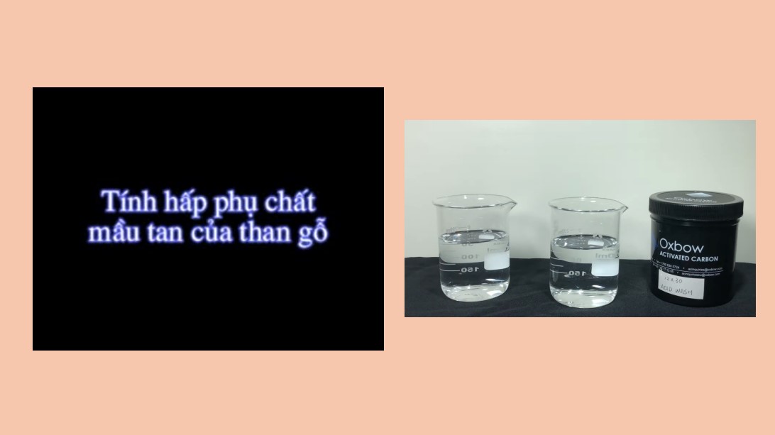 PowerPoint Khoa học tự nhiên 9 KNTT Bài 21