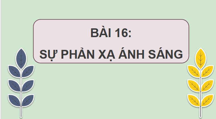 Giáo án PowerPoint Khoa học tự nhiên 7 Bài 16