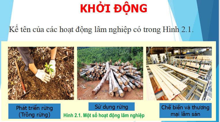 Giáo án PowerPoint Công nghệ 12 Cánh diều Bài 2
