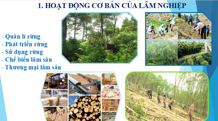 Giáo án PowerPoint Công nghệ 12 Cánh diều Bài 2