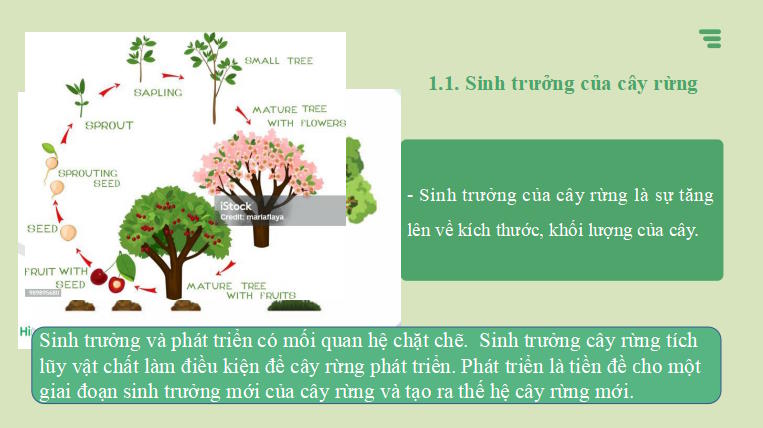 Giáo án PowerPoint Công nghệ 12 Cánh diều Bài 4