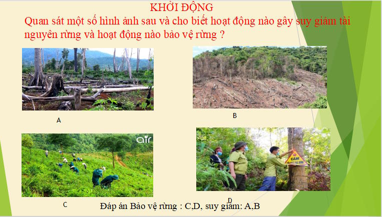 Giáo án PowerPoint Công nghệ 12 Cánh diều Bài 6