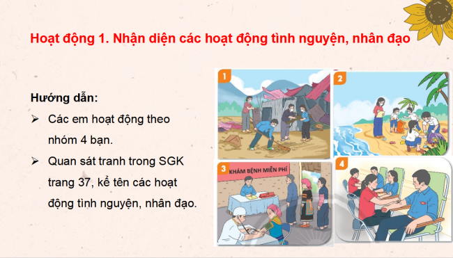 PowerPoint Hoạt động trải nghiệm 3 Tuần 13