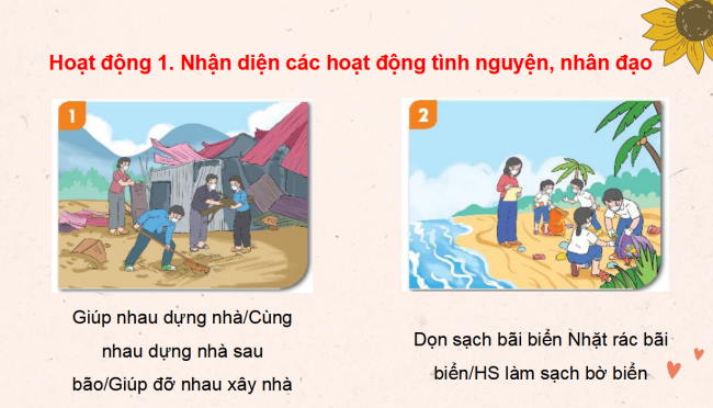 PowerPoint Hoạt động trải nghiệm 3 Tuần 13