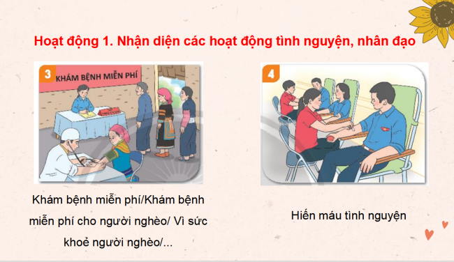 PowerPoint Hoạt động trải nghiệm 3 Tuần 13