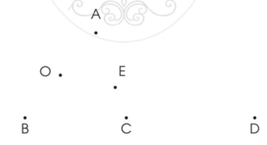 Vở bài tập Toán lớp 2 Cánh diều Bài 46: Luyện tập chung (trang 79)