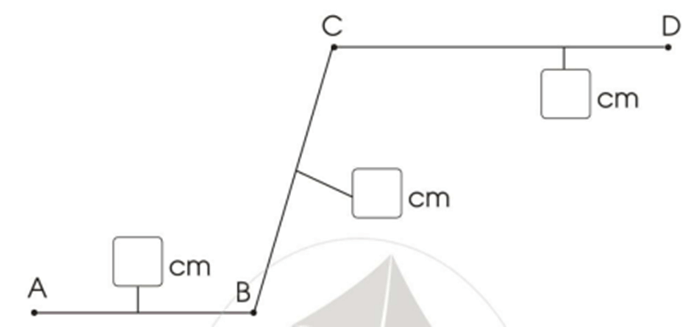 Vở bài tập Toán lớp 2 Cánh diều Bài 46: Luyện tập chung (trang 79)