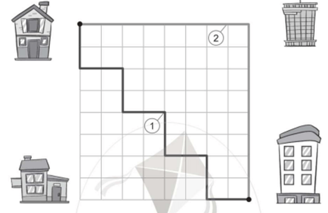 Vở bài tập Toán lớp 2 Cánh diều Bài 46: Luyện tập chung (trang 79)