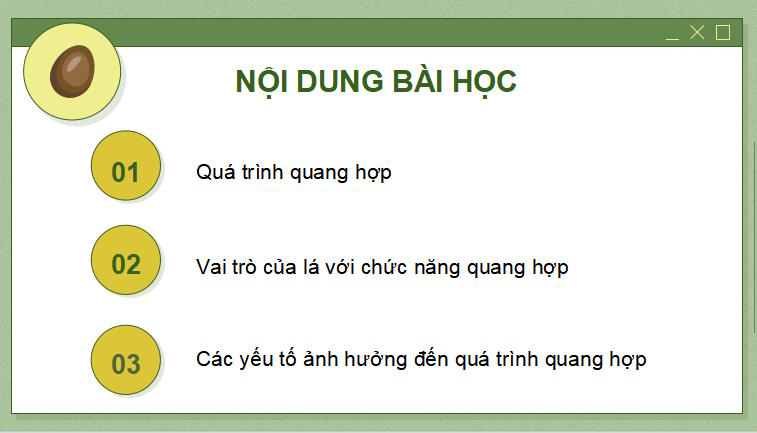 PowerPoint Khoa học tự nhiên 7 Chân trời sáng tạo Bài 23