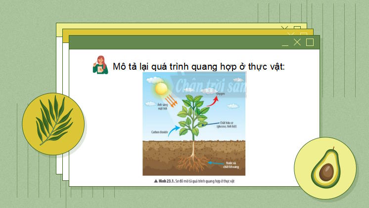 PowerPoint Khoa học tự nhiên 7 Chân trời sáng tạo Bài 23