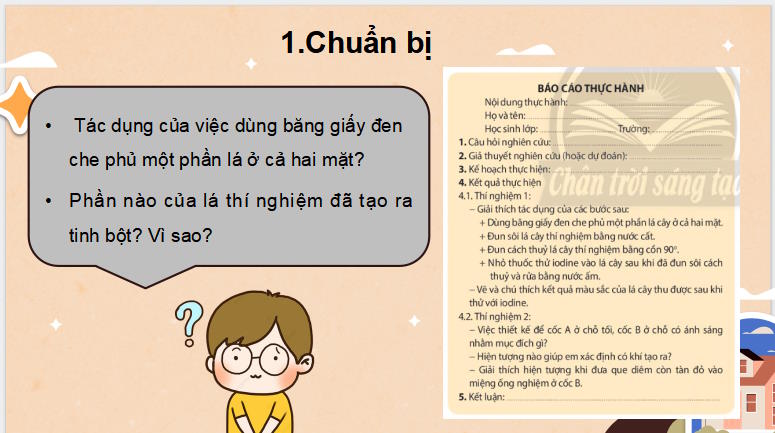 PowerPoint Khoa học tự nhiên 7 Chân trời sáng tạo Bài 24