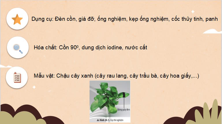 PowerPoint Khoa học tự nhiên 7 Chân trời sáng tạo Bài 24