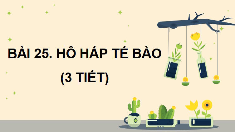 PowerPoint Khoa học tự nhiên 7 Chân trời sáng tạo Bài 25