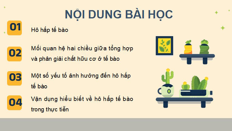 PowerPoint Khoa học tự nhiên 7 Chân trời sáng tạo Bài 25