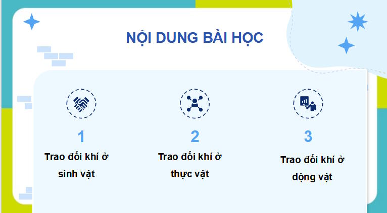 PowerPoint Khoa học tự nhiên 7 Chân trời sáng tạo Bài 27