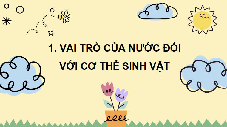 PowerPoint Khoa học tự nhiên 7 Chân trời sáng tạo Bài 28