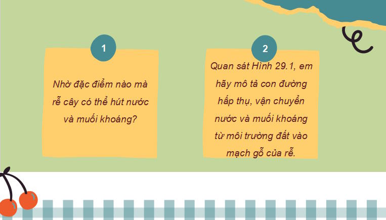 PowerPoint Khoa học tự nhiên 7 Chân trời sáng tạo Bài 29