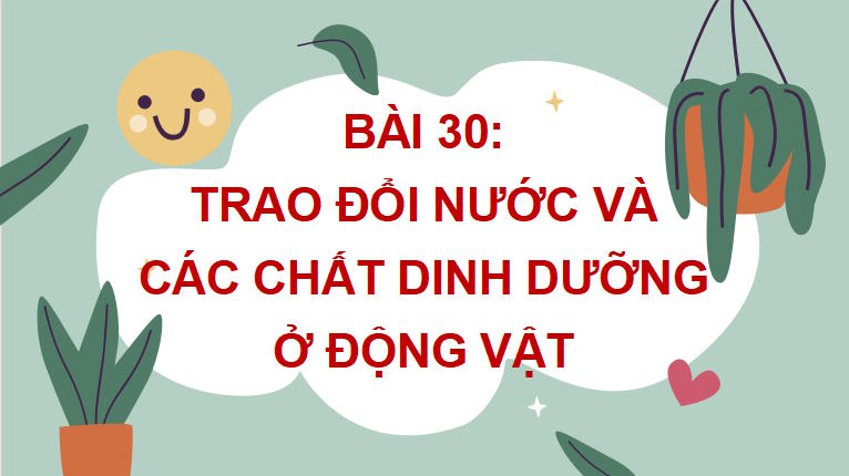 PowerPoint Khoa học tự nhiên 7 Chân trời sáng tạo Bài 30