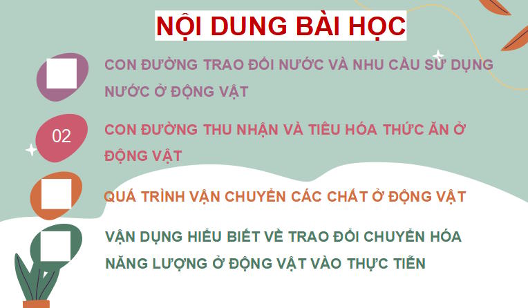 PowerPoint Khoa học tự nhiên 7 Chân trời sáng tạo Bài 30
