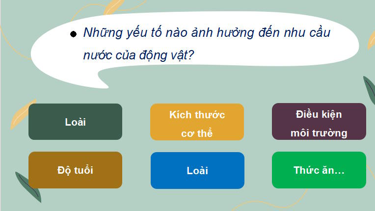 PowerPoint Khoa học tự nhiên 7 Chân trời sáng tạo Bài 30