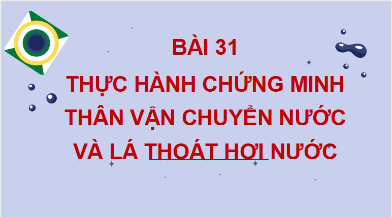 PowerPoint Khoa học tự nhiên 7 Chân trời sáng tạo Bài 31