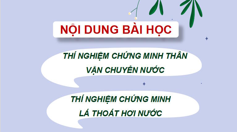 PowerPoint Khoa học tự nhiên 7 Chân trời sáng tạo Bài 31
