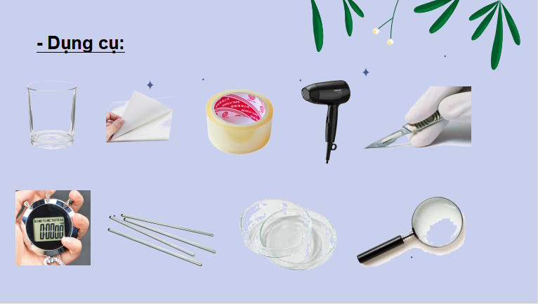 PowerPoint Khoa học tự nhiên 7 Chân trời sáng tạo Bài 31