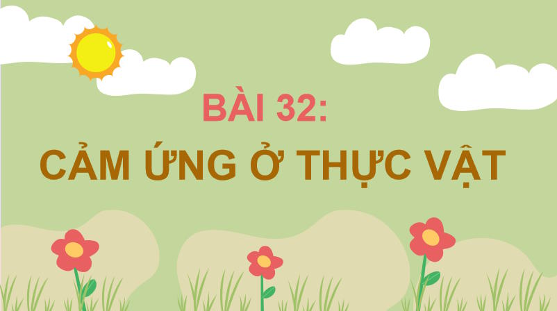 PowerPoint Khoa học tự nhiên 7 Chân trời sáng tạo Bài 32