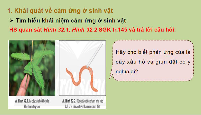 PowerPoint Khoa học tự nhiên 7 Chân trời sáng tạo Bài 32