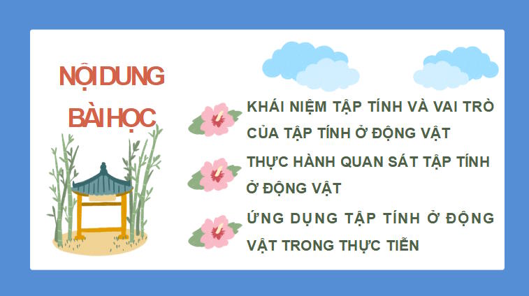PowerPoint Khoa học tự nhiên 7 Chân trời sáng tạo Bài 33