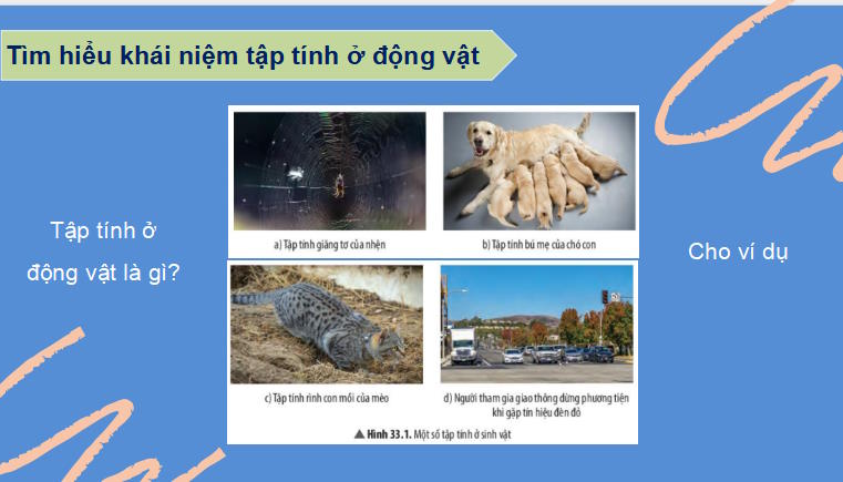 PowerPoint Khoa học tự nhiên 7 Chân trời sáng tạo Bài 33