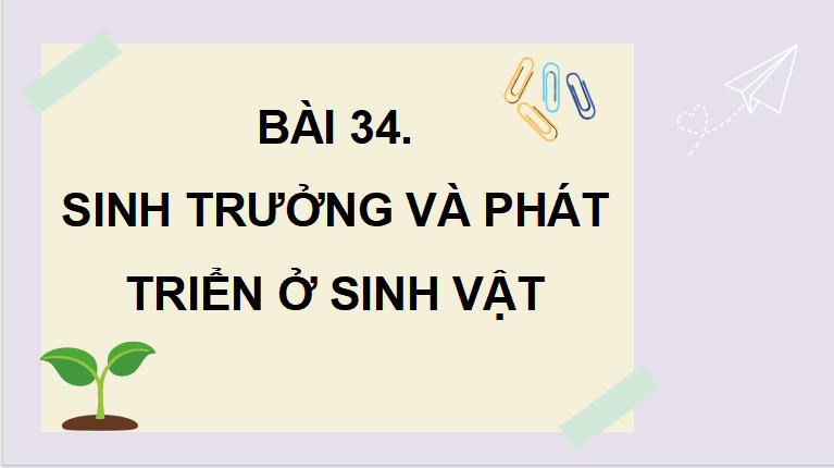 PowerPoint Khoa học tự nhiên 7 Chân trời sáng tạo Bài 34