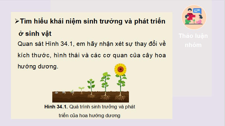 PowerPoint Khoa học tự nhiên 7 Chân trời sáng tạo Bài 34