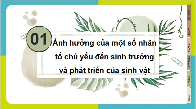 PowerPoint Khoa học tự nhiên 7 Chân trời sáng tạo Bài 35