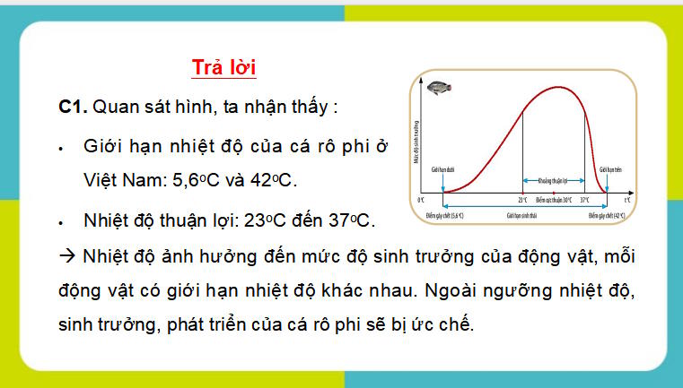 PowerPoint Khoa học tự nhiên 7 Chân trời sáng tạo Bài 35