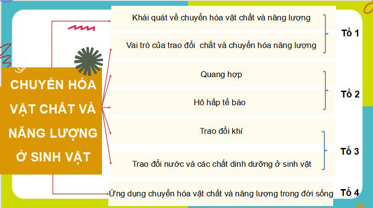 Giáo án điện tử Khoa học tự nhiên 7 Ôn tập chủ đề 7