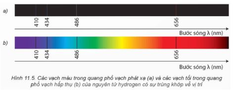 Giải Chuyên đề Vật lí 12 Kết nối tri thức bài 11