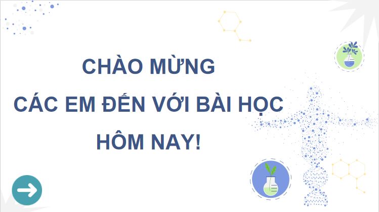 PowerPoint Sinh 12 Kết nối tri thức