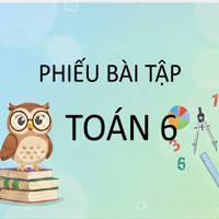 Phiếu bài tập Toán 6 CTST: Phân số với tử số và mẫu số là số nguyên
