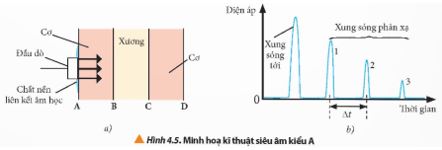 Giải Chuyên đề Vật lí 12 Chân trời sáng tạo bài 4