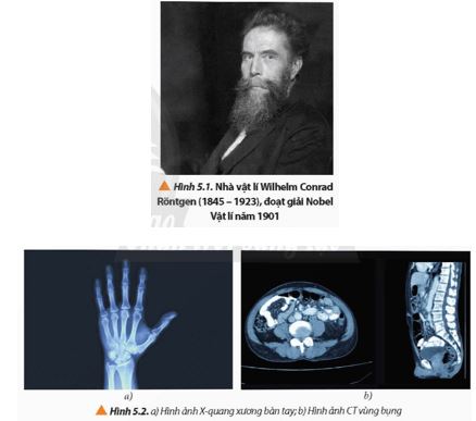 Giải Chuyên đề Vật lí 12 Chân trời sáng tạo bài 5